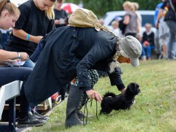 _DSC7593_web